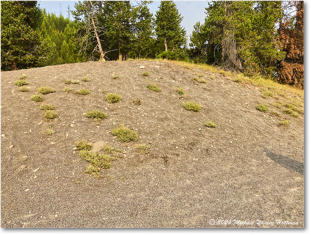 2024-07-28 11-26-32 copy