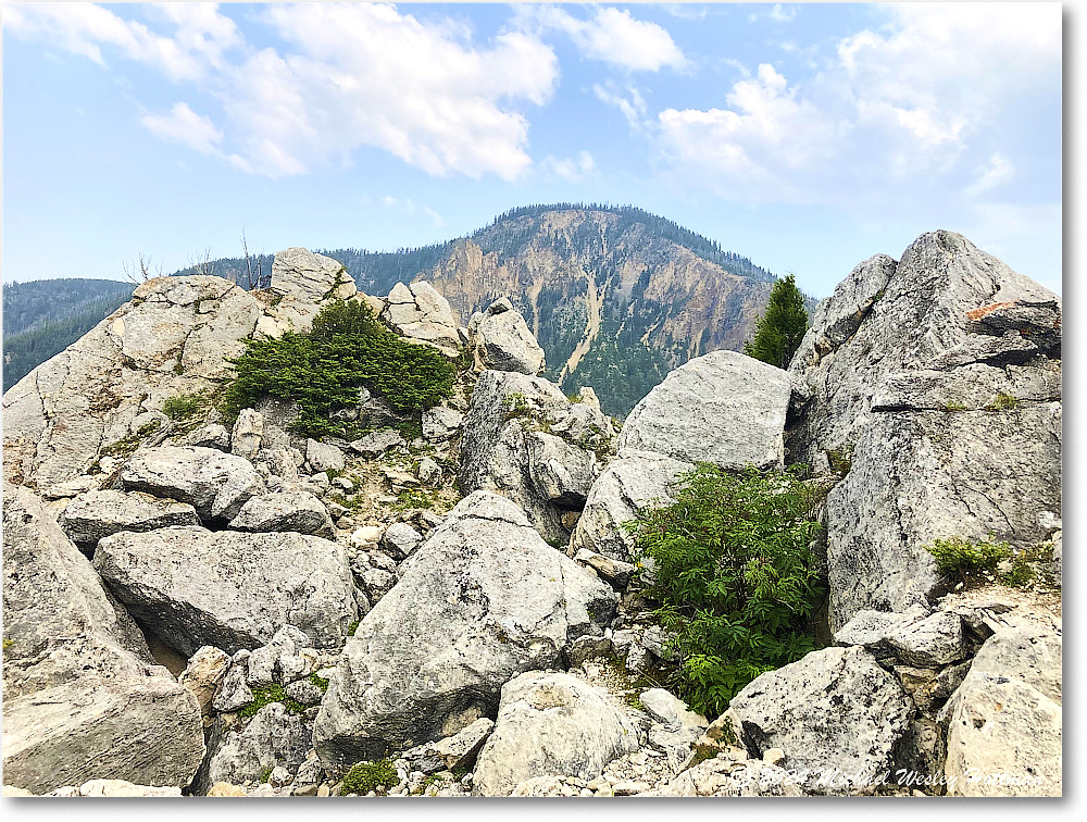 2024-07-28 19-12-23 copy