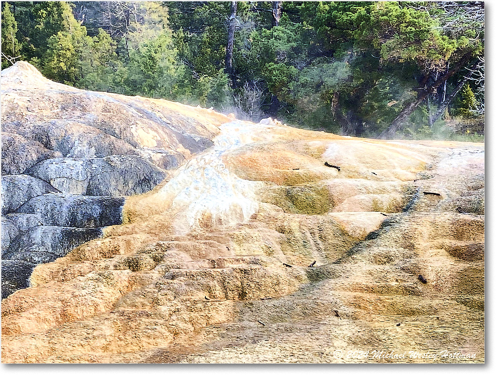 2024-07-29 10-40-42 copy