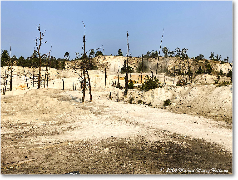 2024-07-29 10-54-23 copy