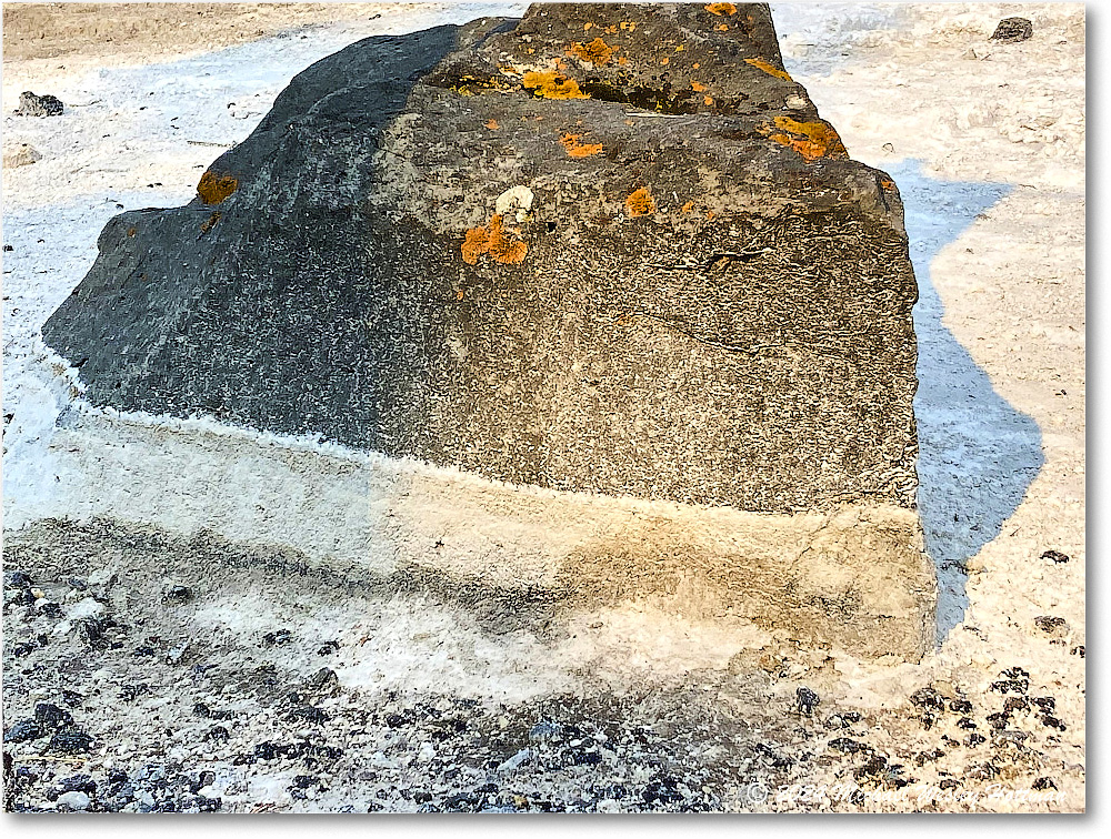 2024-07-29 10-55-36 copy