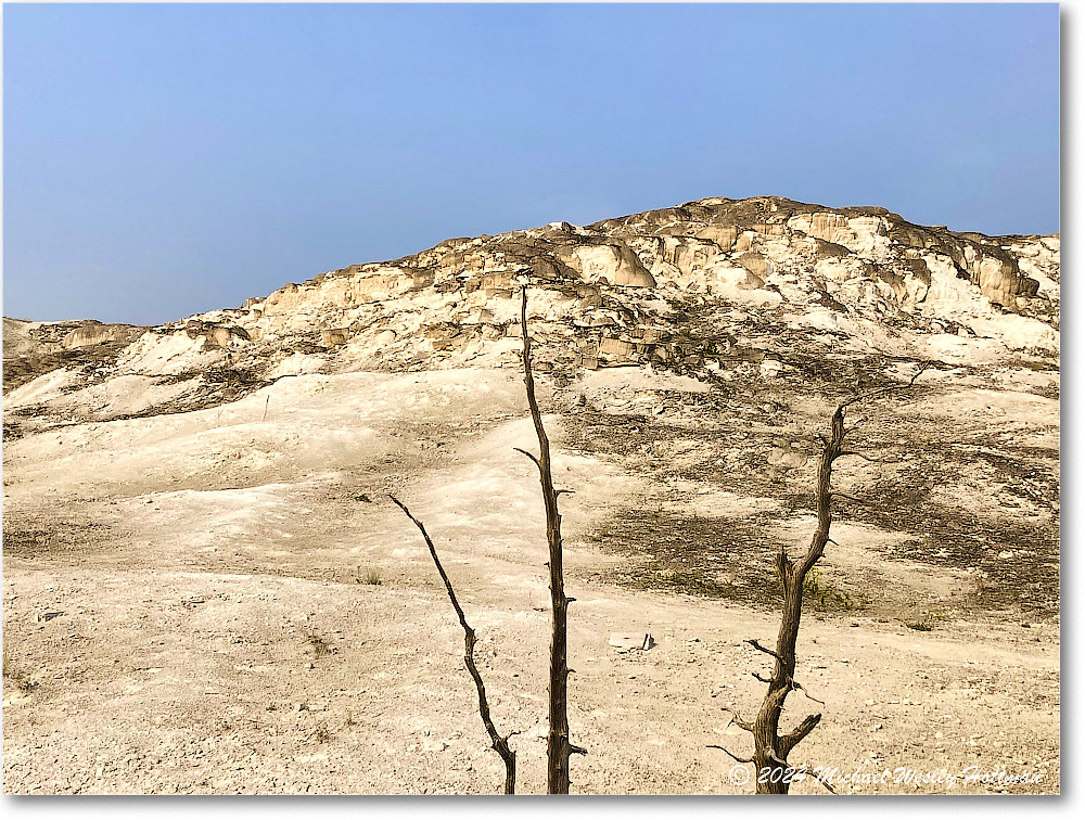 2024-07-29 11-09-57 copy