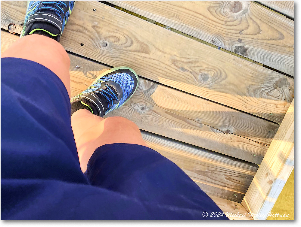 2024-07-29 11-17-10 copy