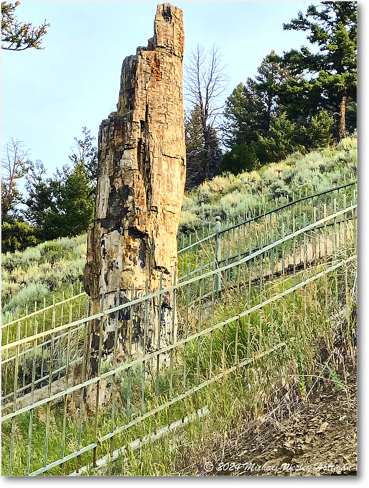 2024-07-30 10-32-11 copy