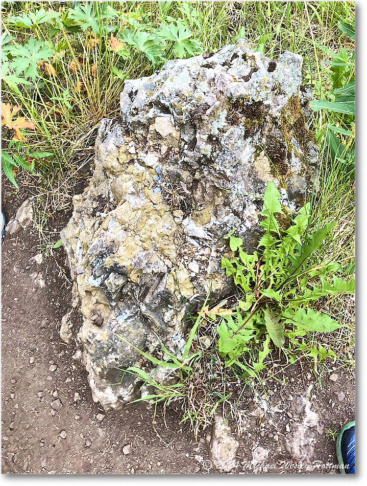 2024-07-30 10-45-29 copy