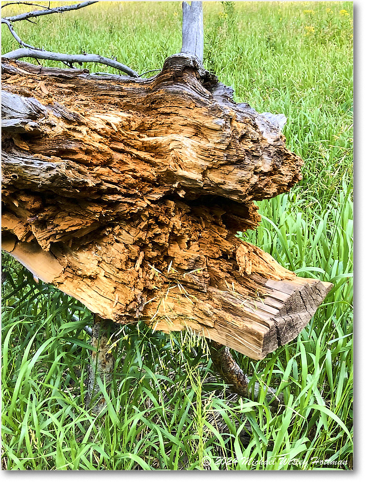 2024-07-30 11-22-47 copy