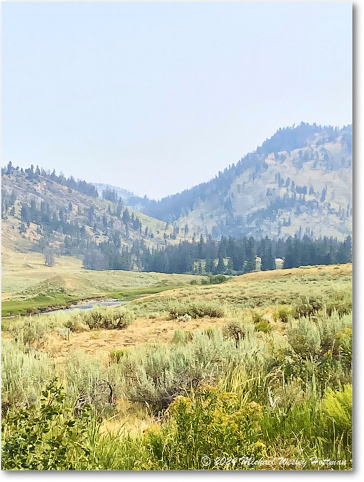 2024-07-30 12-41-48 copy