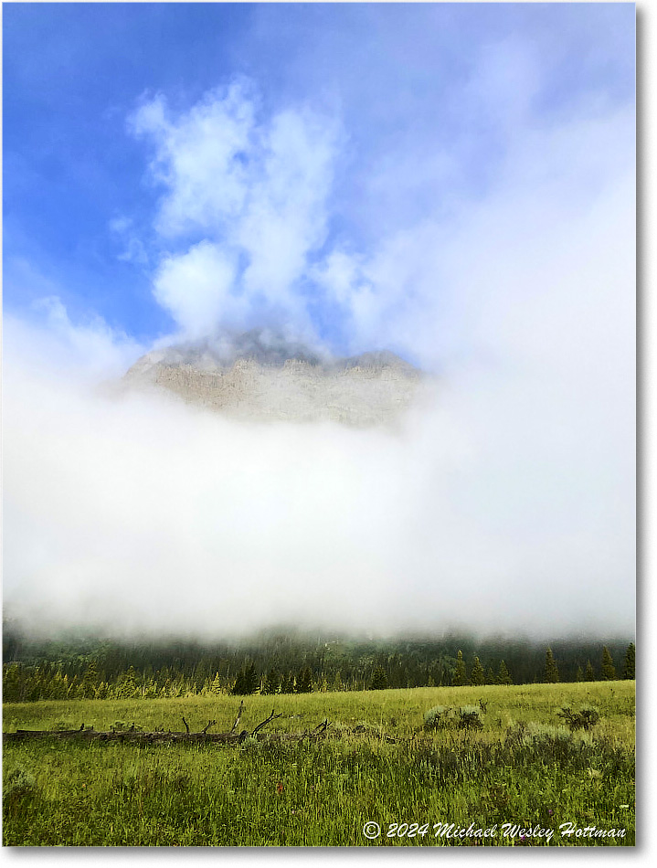 2024-07-31 10-36-25 copy