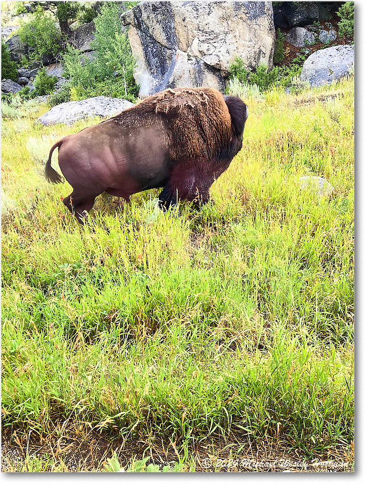 2024-07-31 11-06-43 copy