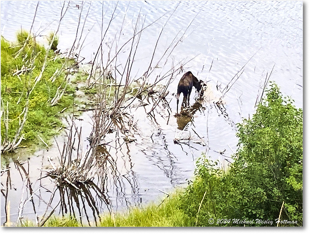 2024-08-04 15-35-07 copy