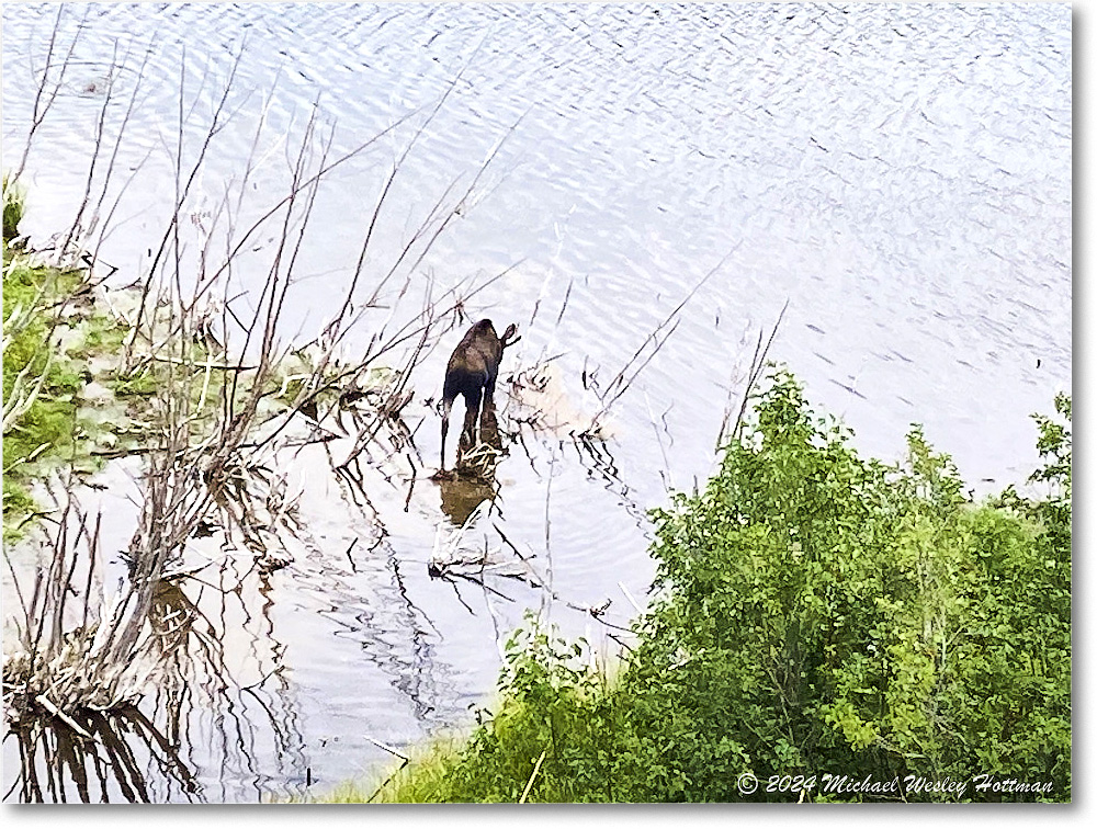 2024-08-04 15-35-08 copy