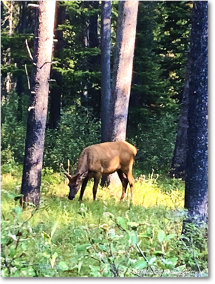 2024-08-05 11-01-36 copy