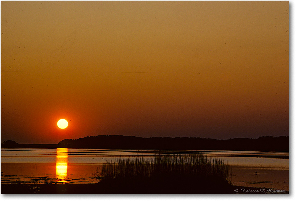 SunsetWildlifeLoop_ChincoNWR_1992Jun_K10 copy