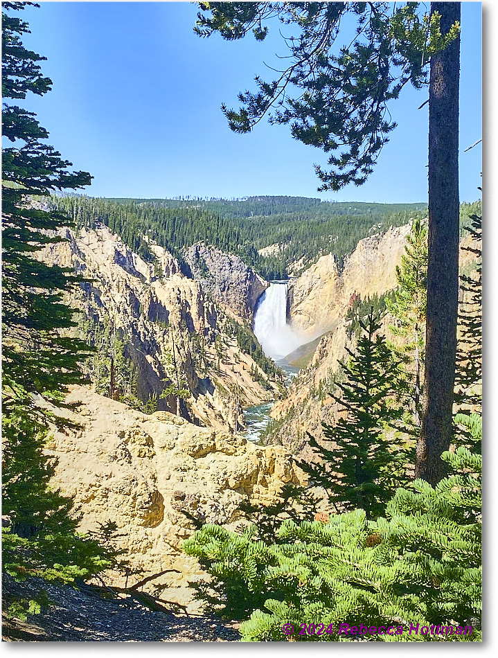 Yellowstone_Aug01Thu_IMG_5385 copy