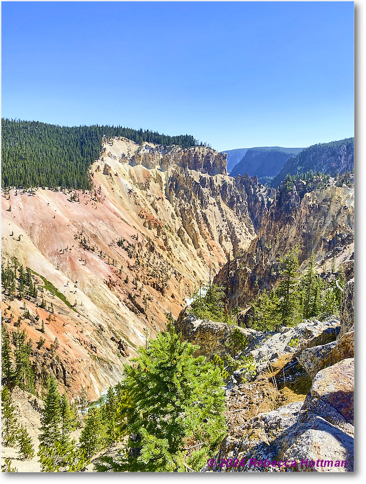 Yellowstone_Aug01Thu_IMG_5391 copy