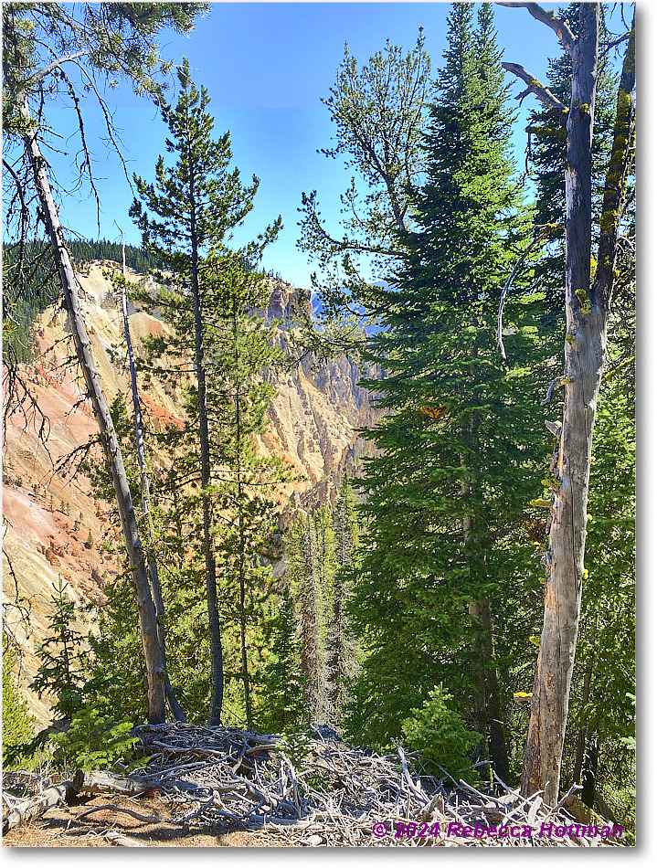 Yellowstone_Aug01Thu_IMG_5393 copy