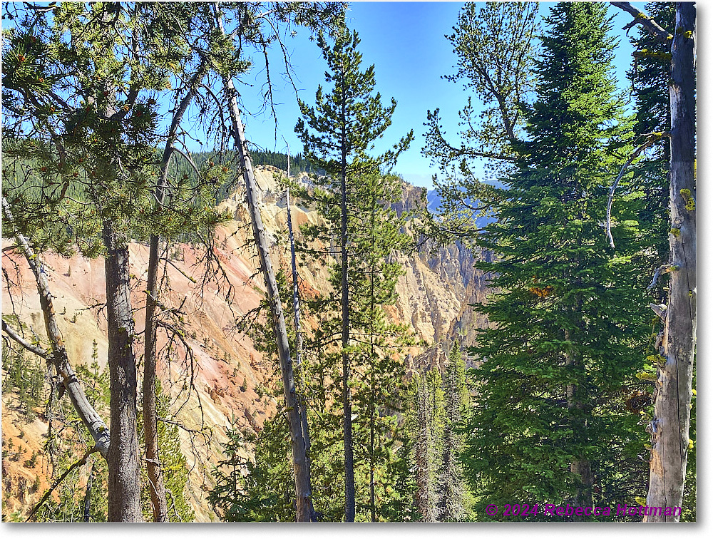 Yellowstone_Aug01Thu_IMG_5394 copy