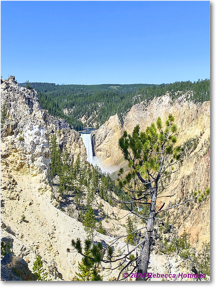 Yellowstone_Aug01Thu_IMG_5396 copy