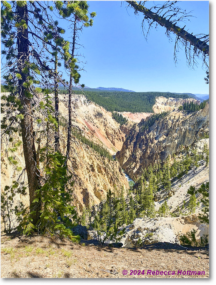 Yellowstone_Aug01Thu_IMG_5397 copy