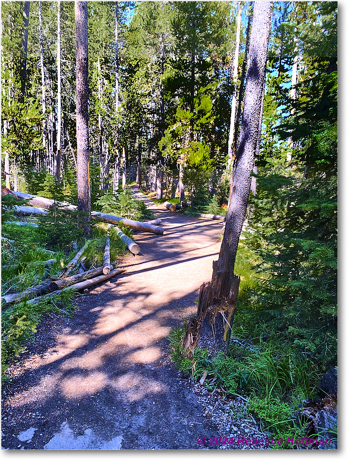 Yellowstone_Aug01Thu_IMG_5404 copy