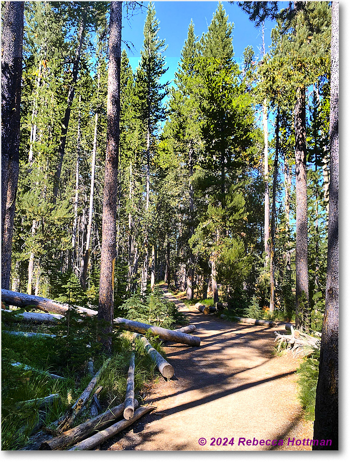 Yellowstone_Aug01Thu_IMG_5405 copy