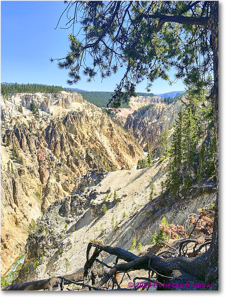 Yellowstone_Aug01Thu_IMG_5406 copy