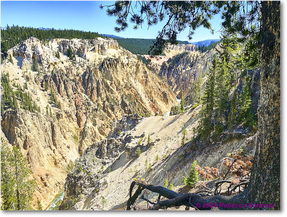 Yellowstone_Aug01Thu_IMG_5407 copy