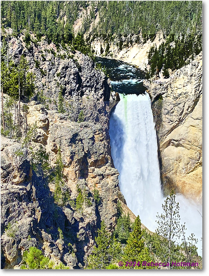 Yellowstone_Aug01Thu_IMG_5412 copy
