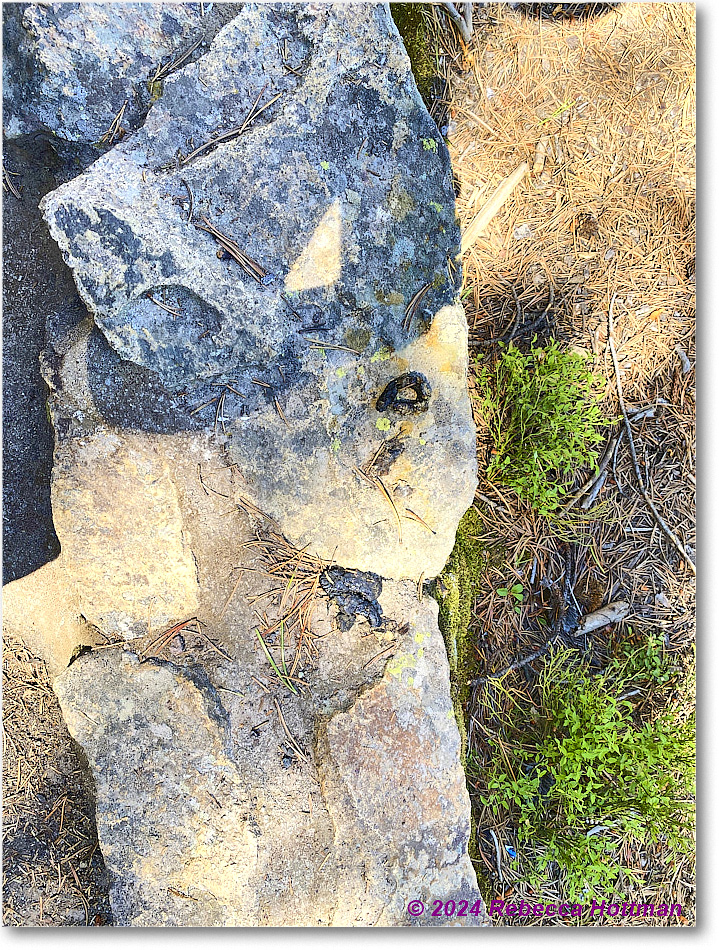 Yellowstone_Aug01Thu_IMG_5414 copy