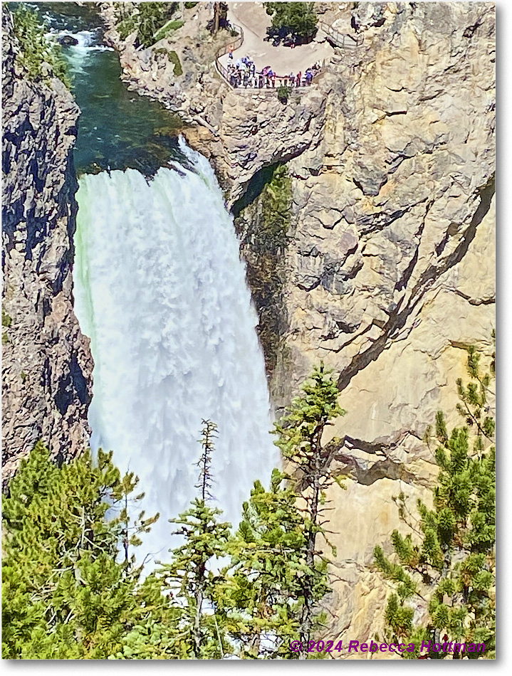 Yellowstone_Aug01Thu_IMG_5416 copy