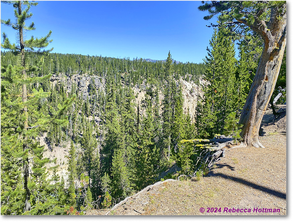 Yellowstone_Aug01Thu_IMG_5420 copy