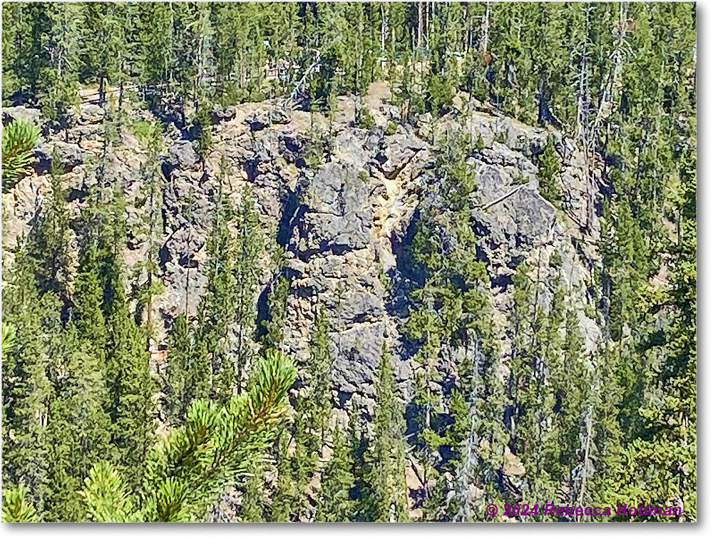 Yellowstone_Aug01Thu_IMG_5422 copy