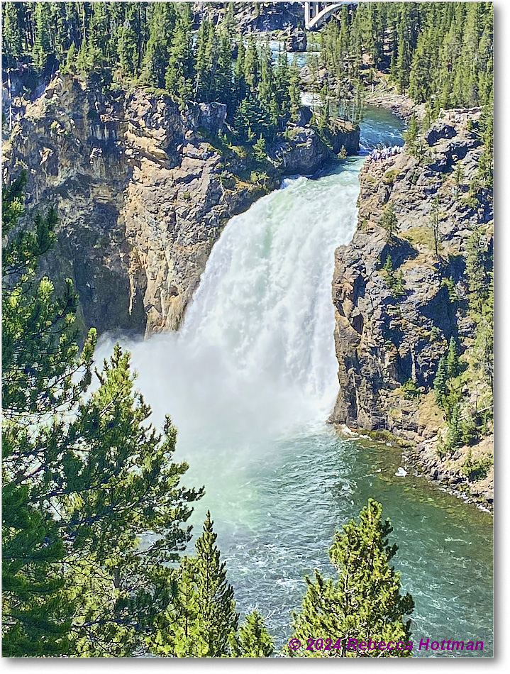 Yellowstone_Aug01Thu_IMG_5428 copy