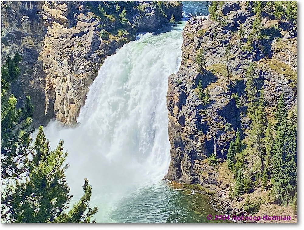 Yellowstone_Aug01Thu_IMG_5429 copy