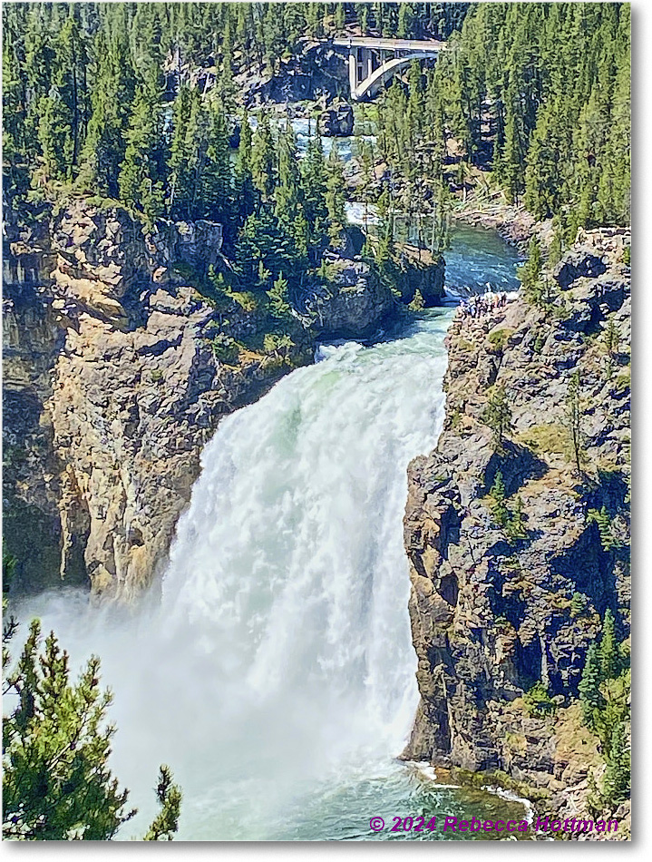 Yellowstone_Aug01Thu_IMG_5430 copy