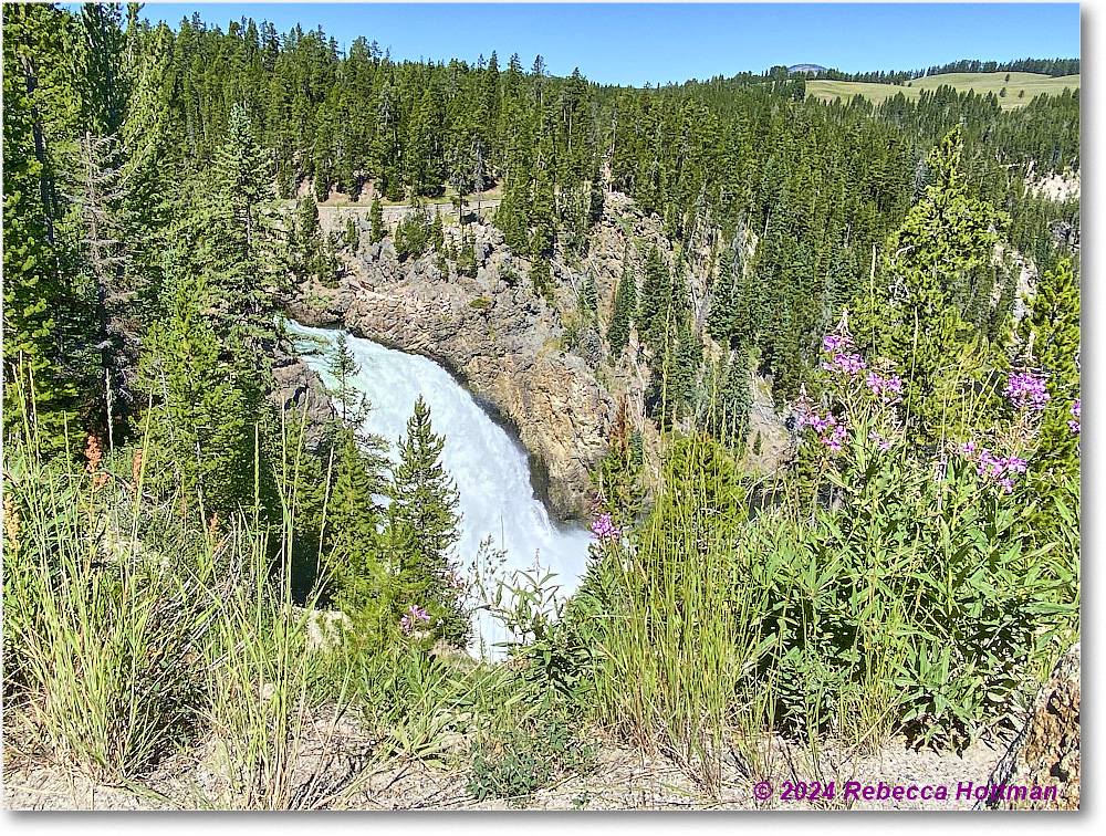 Yellowstone_Aug01Thu_IMG_5435 copy