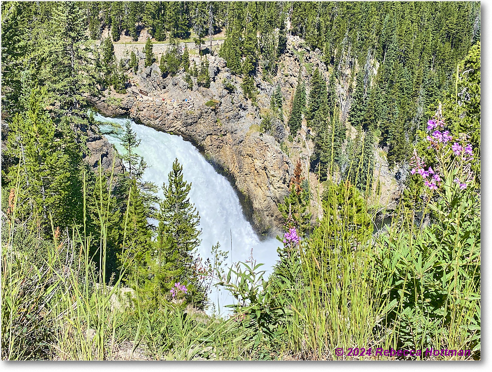 Yellowstone_Aug01Thu_IMG_5436 copy
