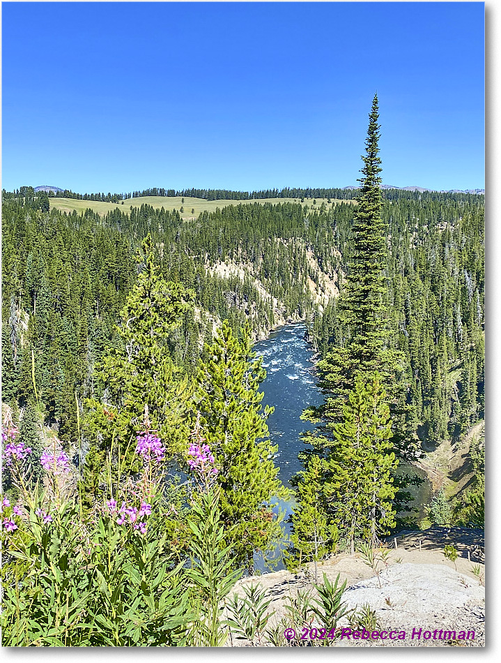 Yellowstone_Aug01Thu_IMG_5437 copy