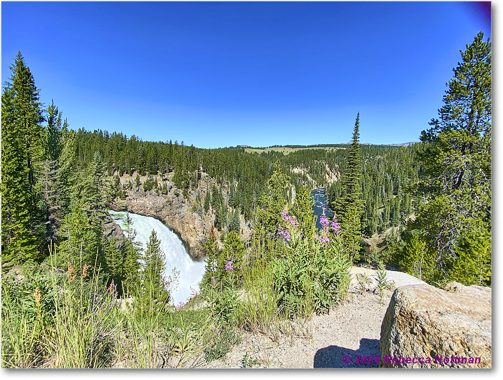 Yellowstone_Aug01Thu_IMG_5438 copy