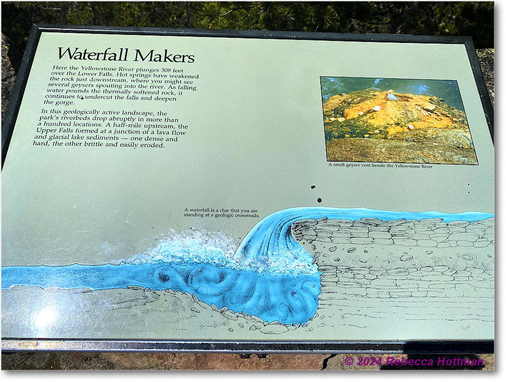 Yellowstone_Aug01Thu_IMG_5442 copy