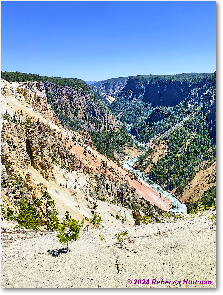 Yellowstone_Aug01Thu_IMG_5455 copy