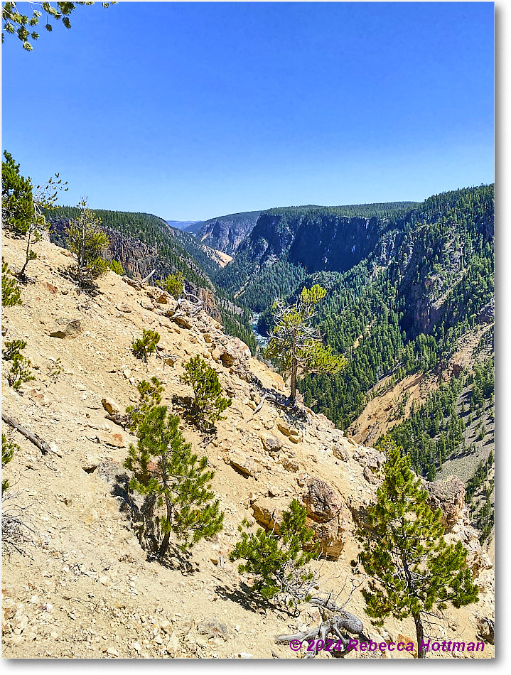 Yellowstone_Aug01Thu_IMG_5456 copy