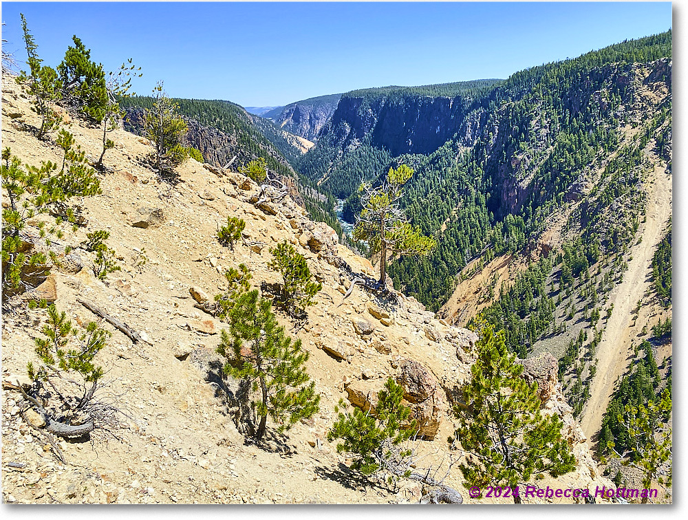 Yellowstone_Aug01Thu_IMG_5457 copy