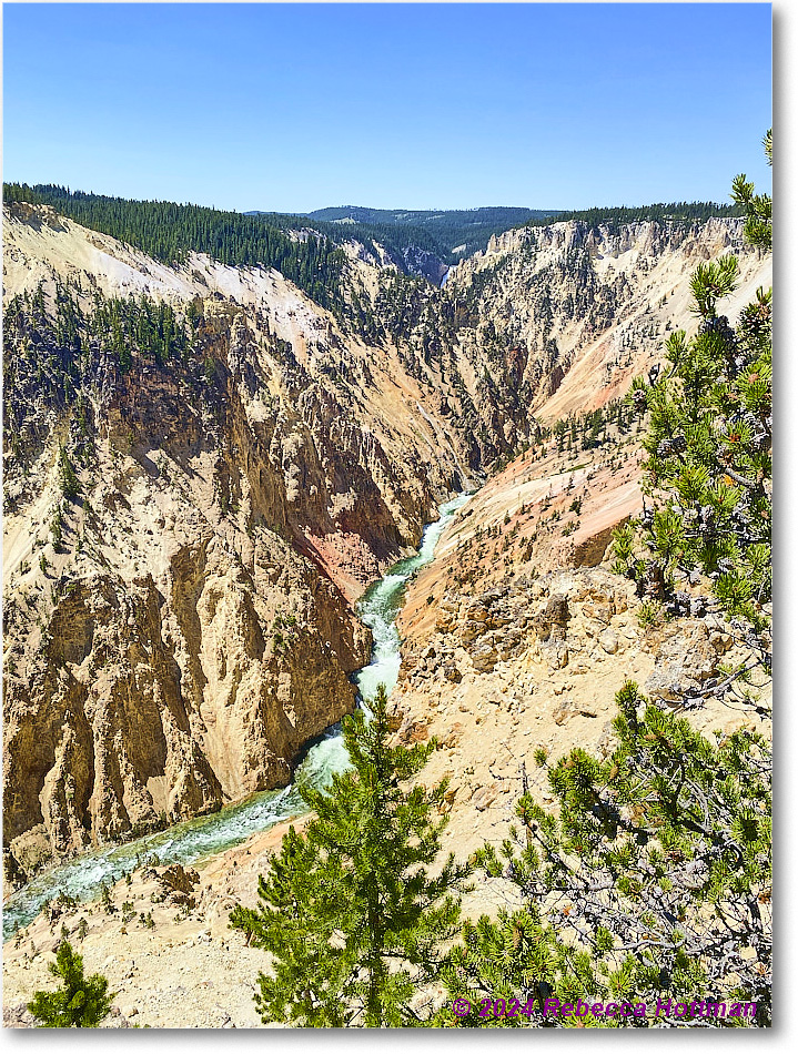 Yellowstone_Aug01Thu_IMG_5458 copy