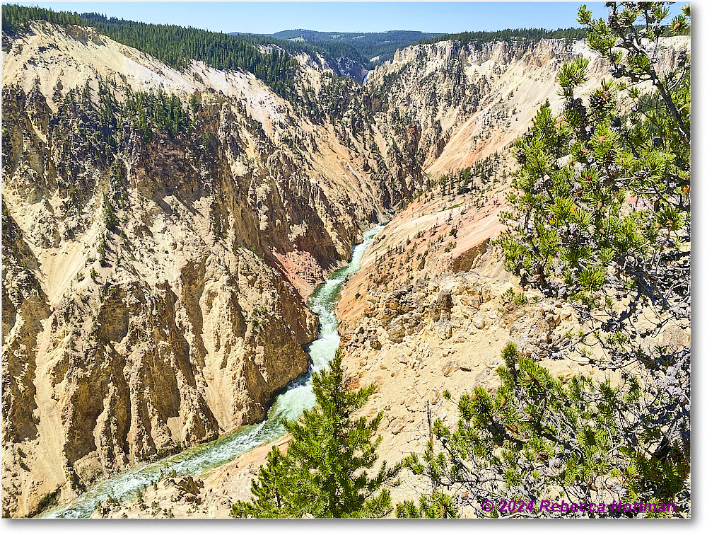 Yellowstone_Aug01Thu_IMG_5459 copy