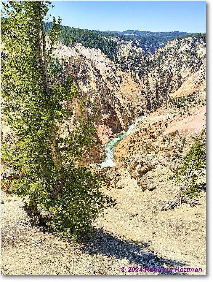 Yellowstone_Aug01Thu_IMG_5460 copy