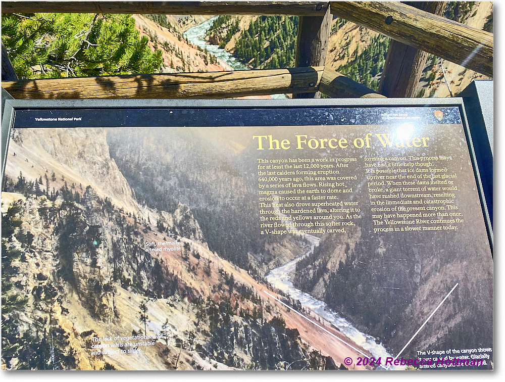 Yellowstone_Aug01Thu_IMG_5462 copy