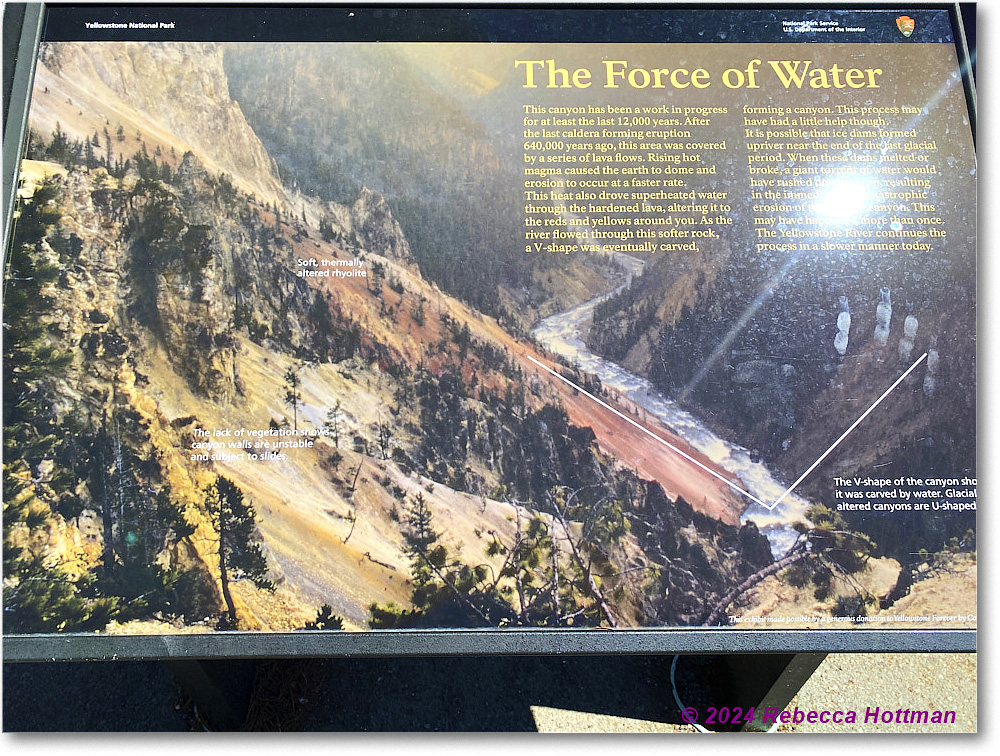 Yellowstone_Aug01Thu_IMG_5463 copy