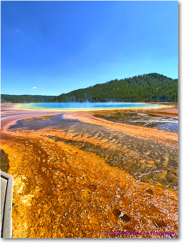 Yellowstone_Aug01Thu_IMG_5475 copy