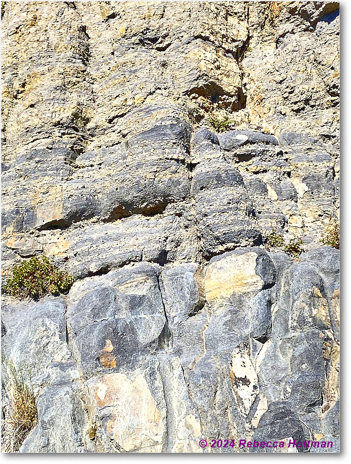 Yellowstone_Aug01Thu_IMG_5484 copy